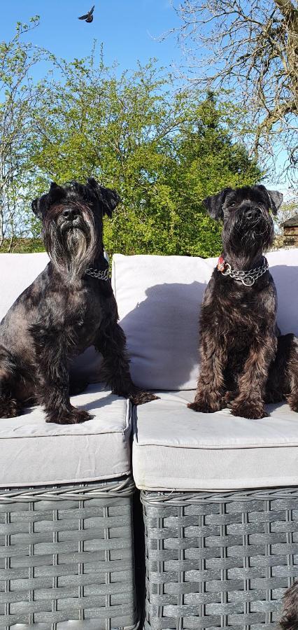 The Sleeping Dog Room At The Grumpy Schnauzer Bnb Huge Room, Luxe Suite, Private Hot Tub, Breakfast, Gym, Games Room, Farm Stay, Amazing エイドリー エクステリア 写真